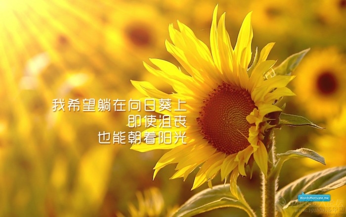 天童木更_天童木更_天童木更