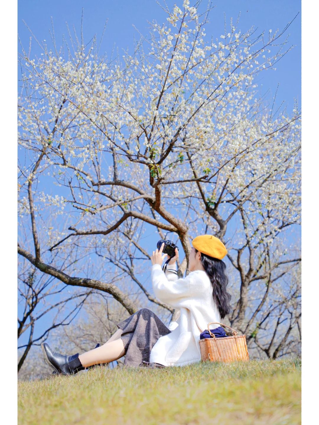 澄田花苗_澄田花苗台词_澄田花苗头像