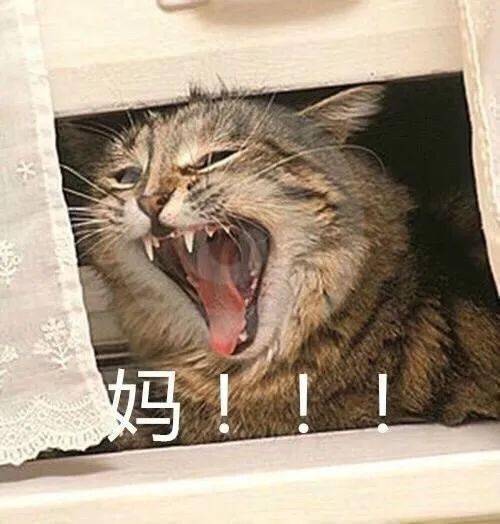 逃离作文600_逃离作文800字_逃离手机游戏作文