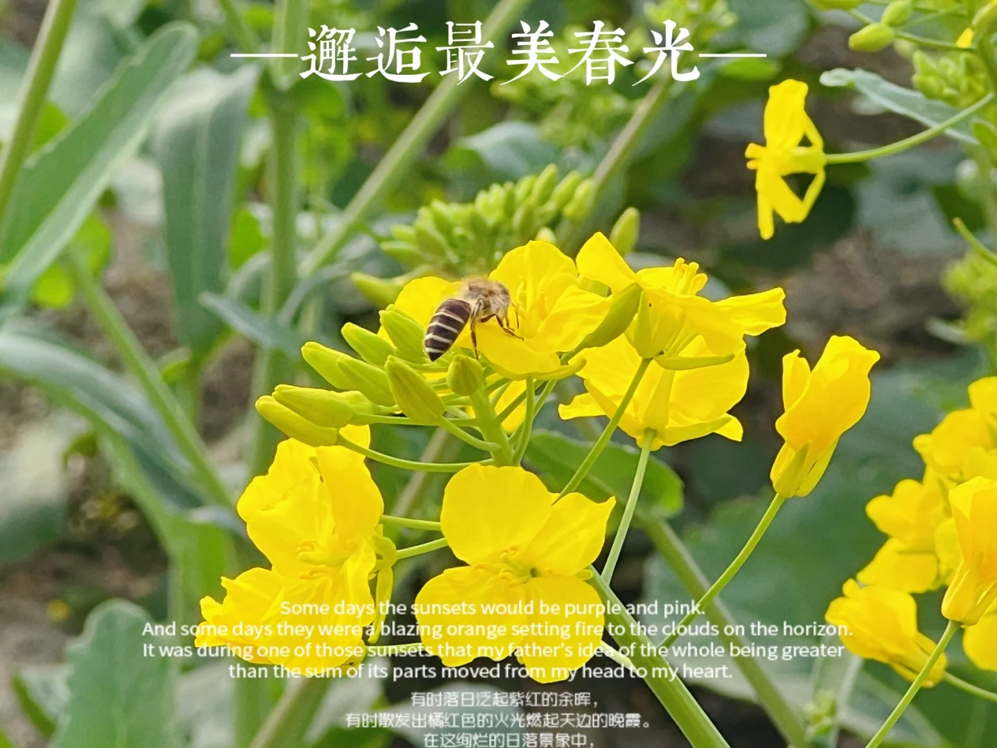笹木_笹木_笹木