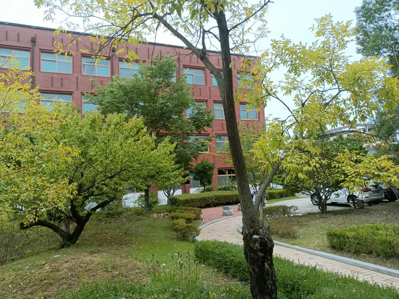学院之王手机游戏_学院之王游戏_学院游戏攻略