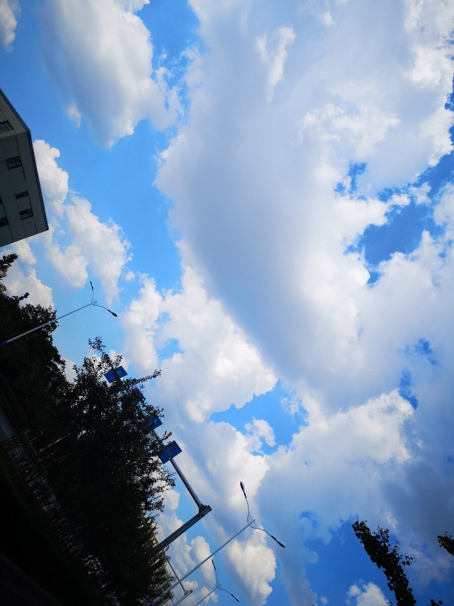 麦箭是什么_麦箭_麦箭图片