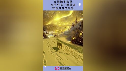 原力与你同在_原力教育_原力币元宇宙