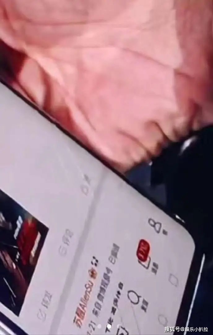 布尔吉黑心_布尔迪厄_吉布尔的化身