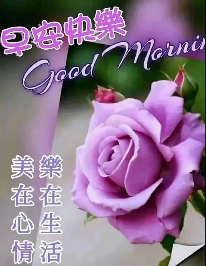 医师节短语祝福_2014祝福语_四字词语祝福