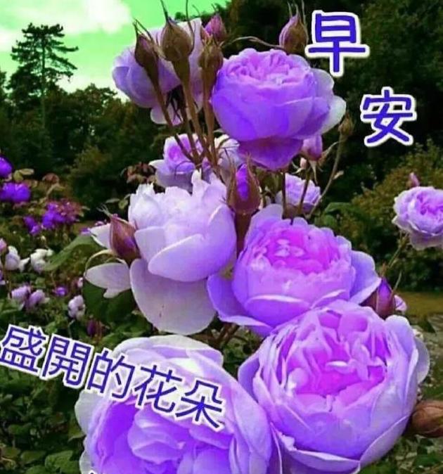 医师节短语祝福_四字词语祝福_2014祝福语