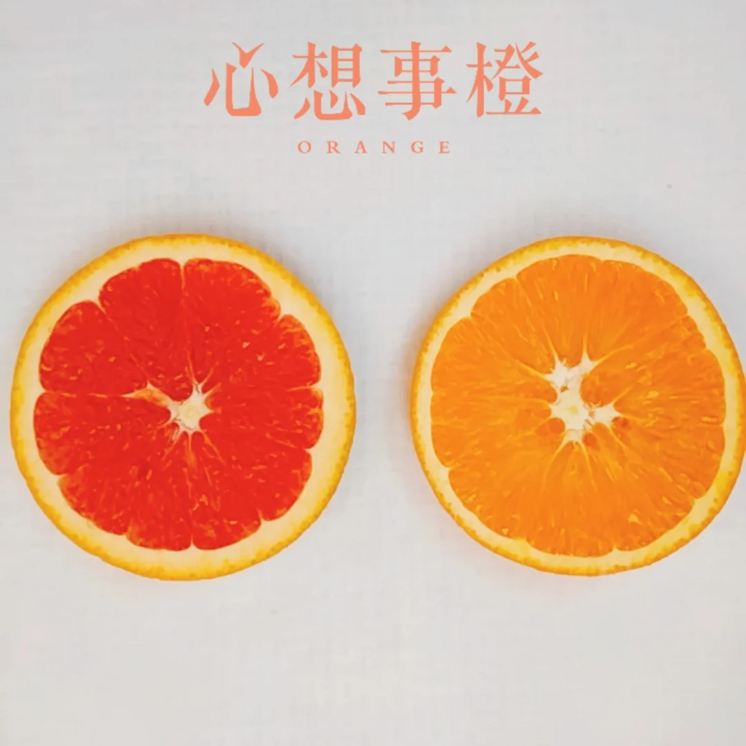 孟夏月是什么意思_孟夏是几月_孟夏月是拉拉吗