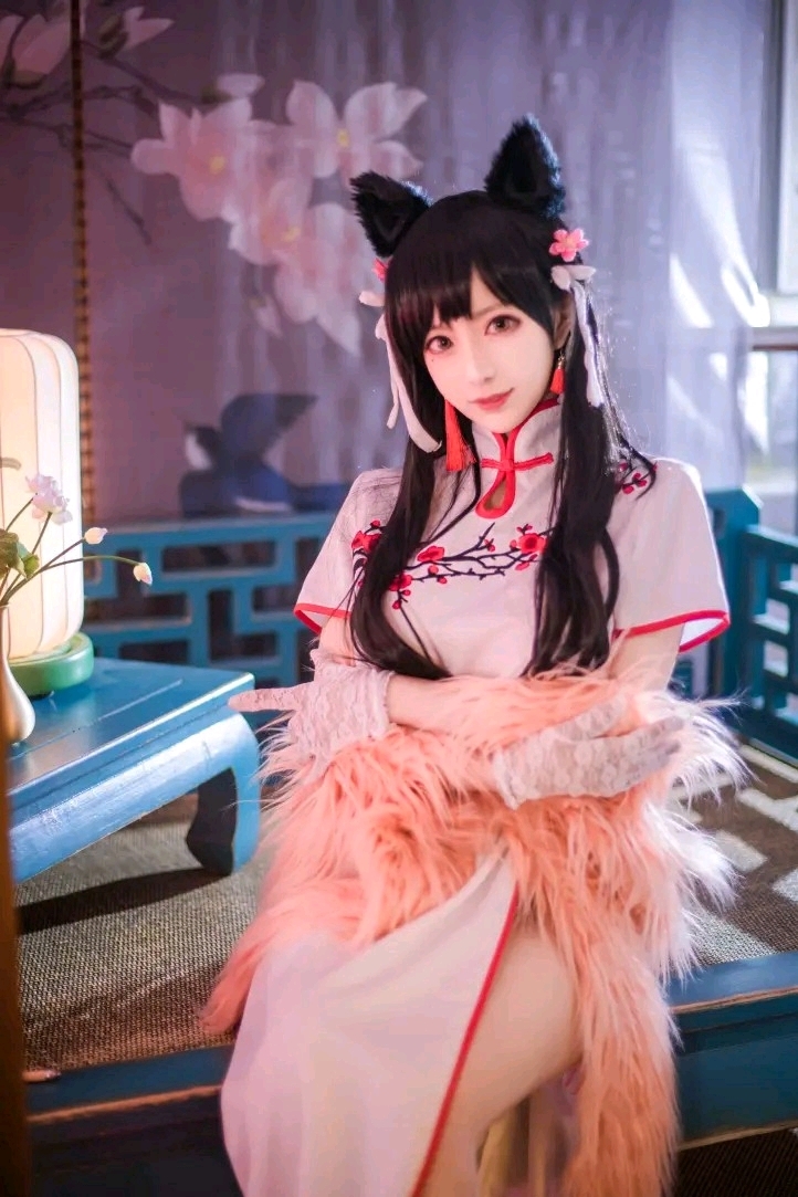 爱宕号巡洋舰模型_爱宕号重巡洋舰_巡洋舰ⅴ8