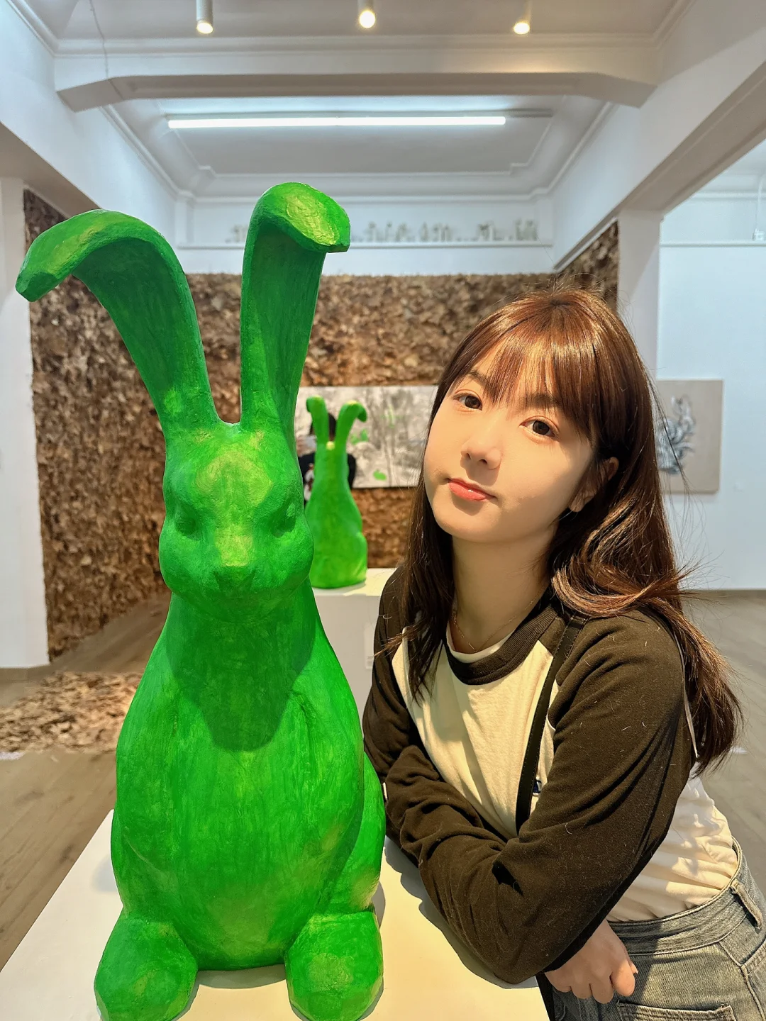 2023年是兔年_兔年是2023几月-几月_兔年是2023年几月份开始