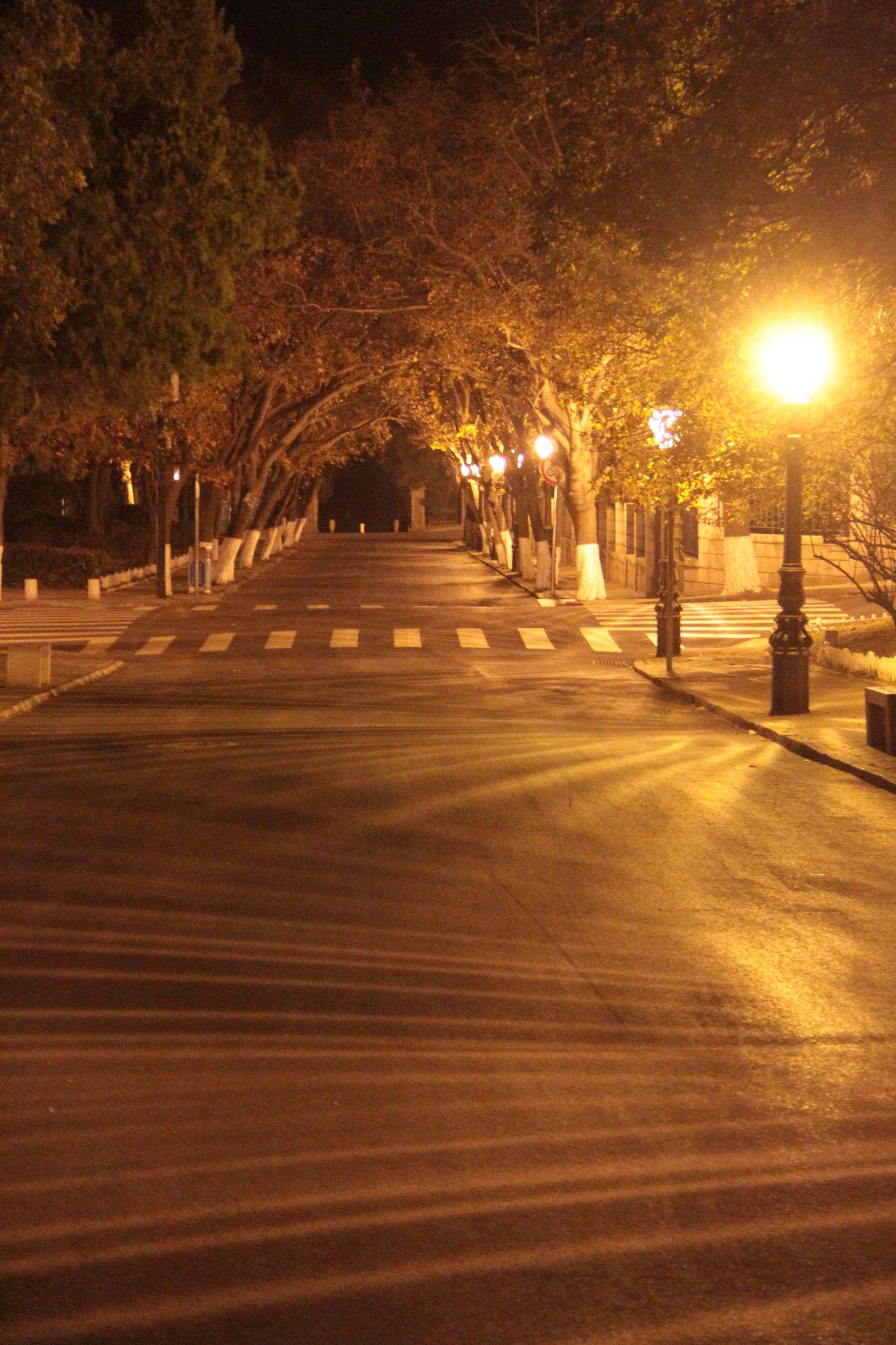 鬼车是什么神兽_鬼车鸟_鬼车