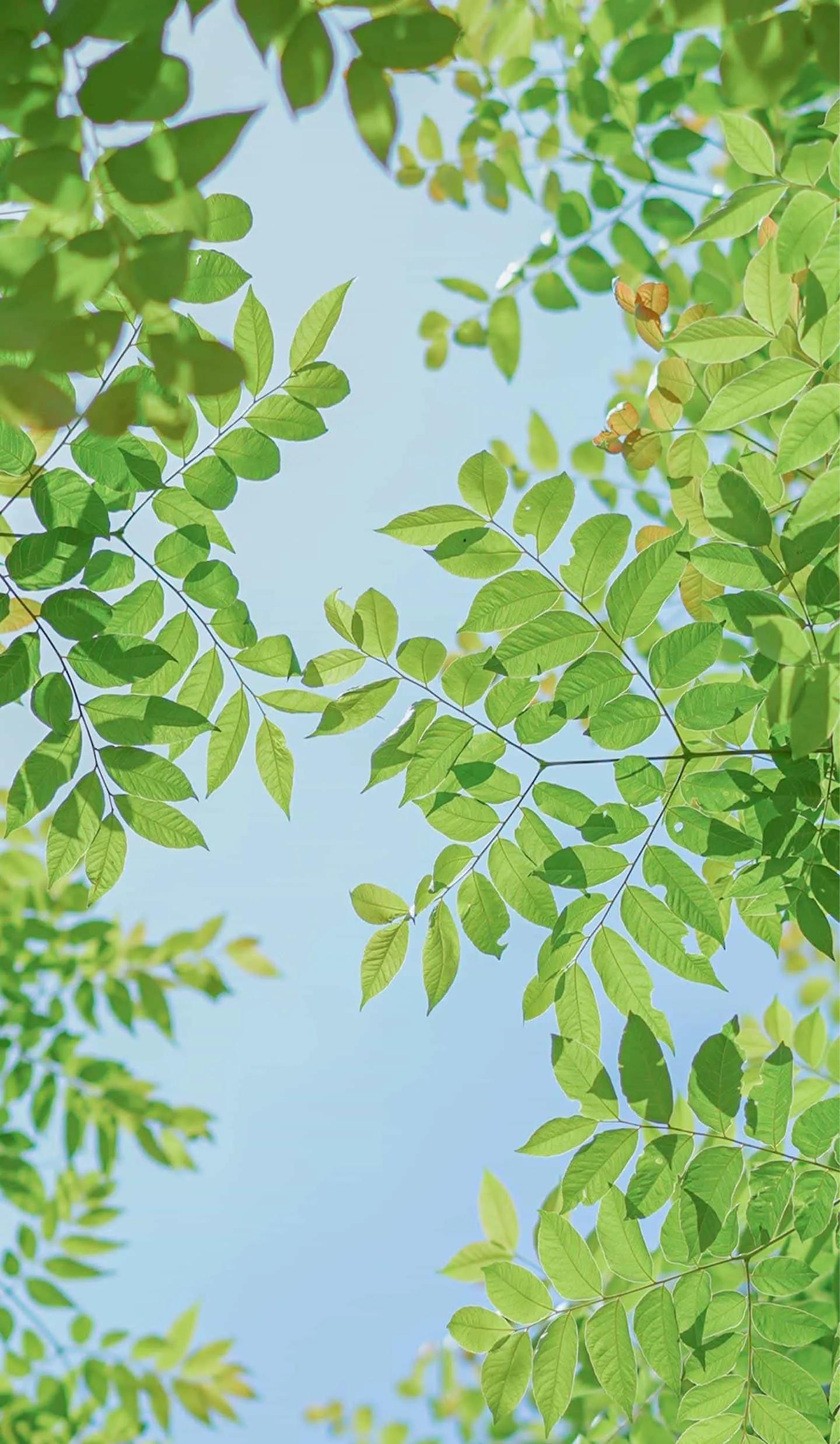 2022是个什么年_过了腊八就是年_m是月还是年