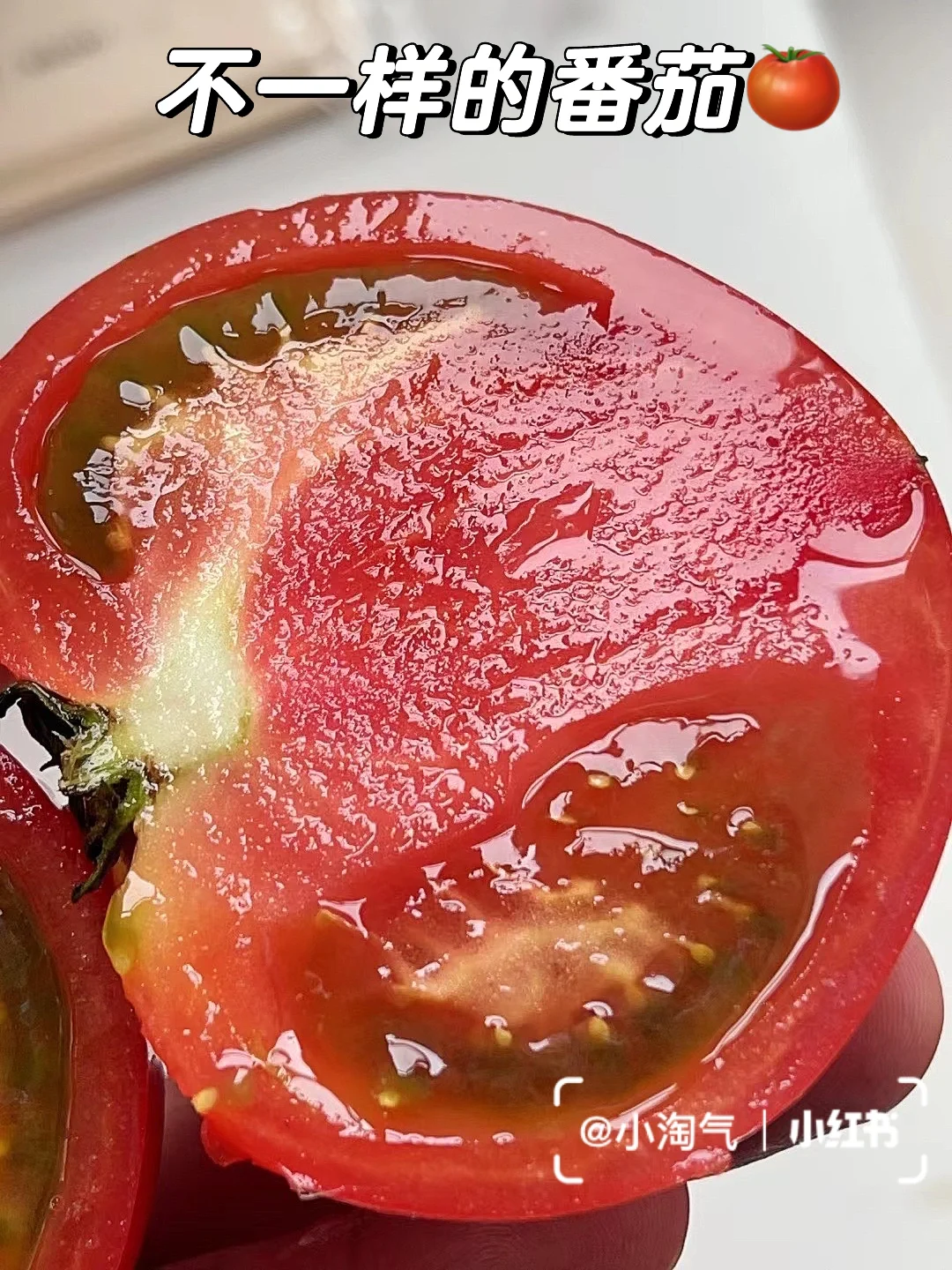 红猪日语_红猪日语_红猪日语翻译