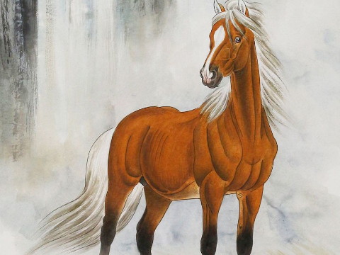 生肖属年龄对照表_2023年生肖属什么_生肖属年龄