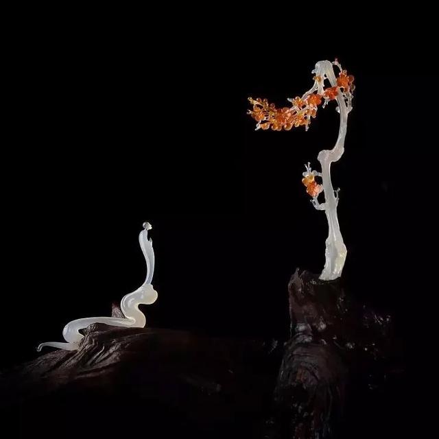 莫斯利安牛奶_桑特莫斯_莫斯提马