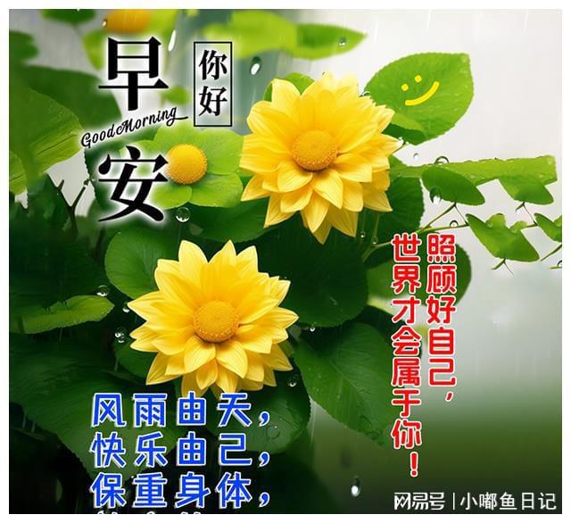 甜舞妮_甜舞妮_甜舞妮