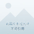 可以改名字的游戏_手机怎样能给游戏改名_手游改名软件