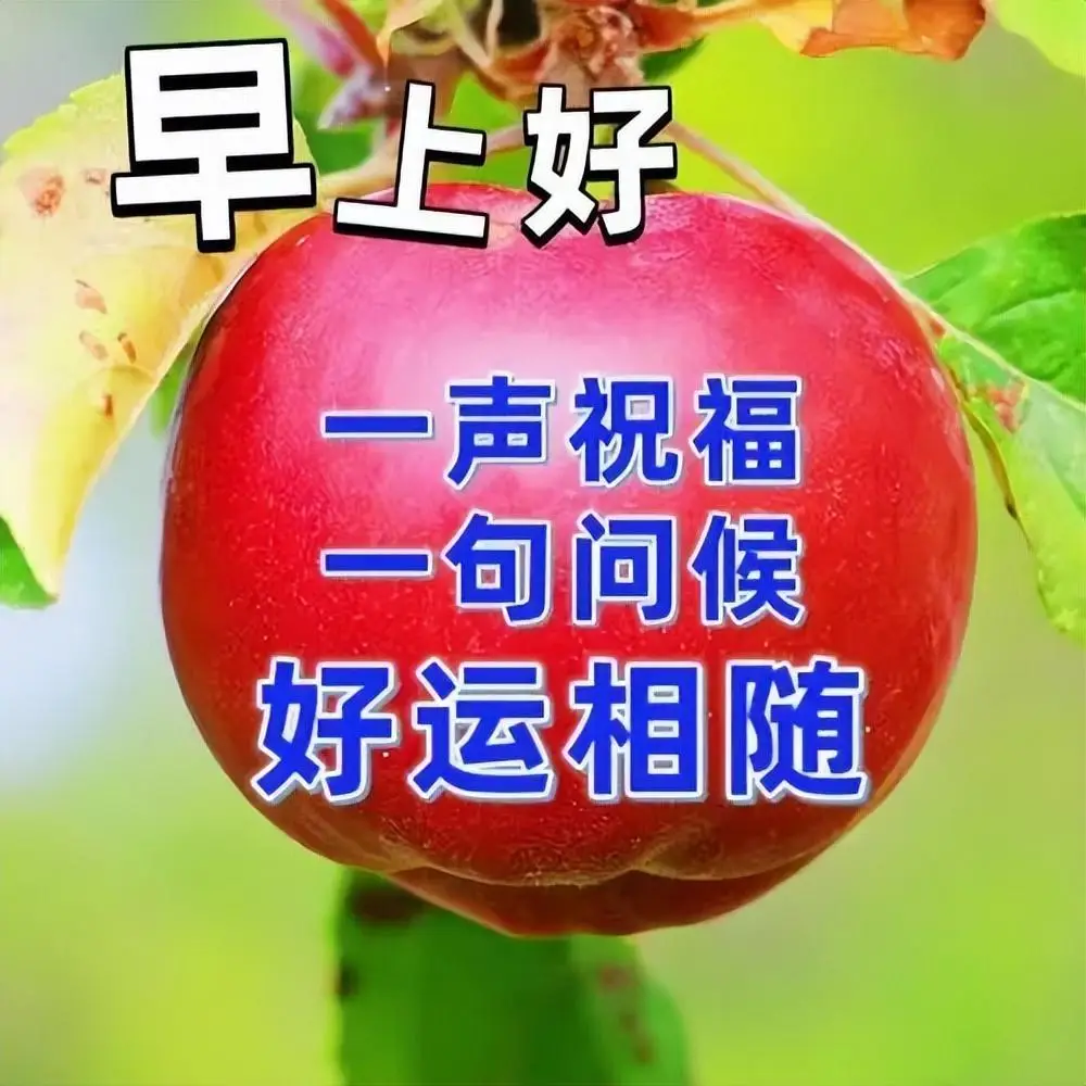 小美温泉屋_温泉的美_温泉屋的