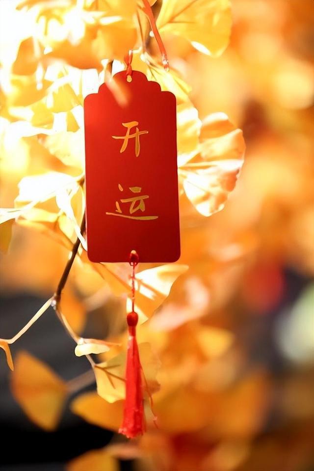 最强女m_最强女m_最强女m