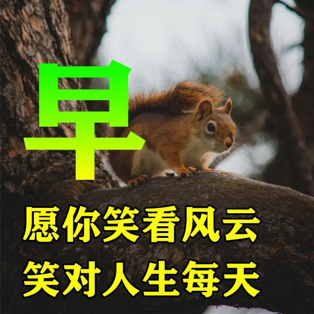 月日是啥意思_日和月是_3月5日是什么日子