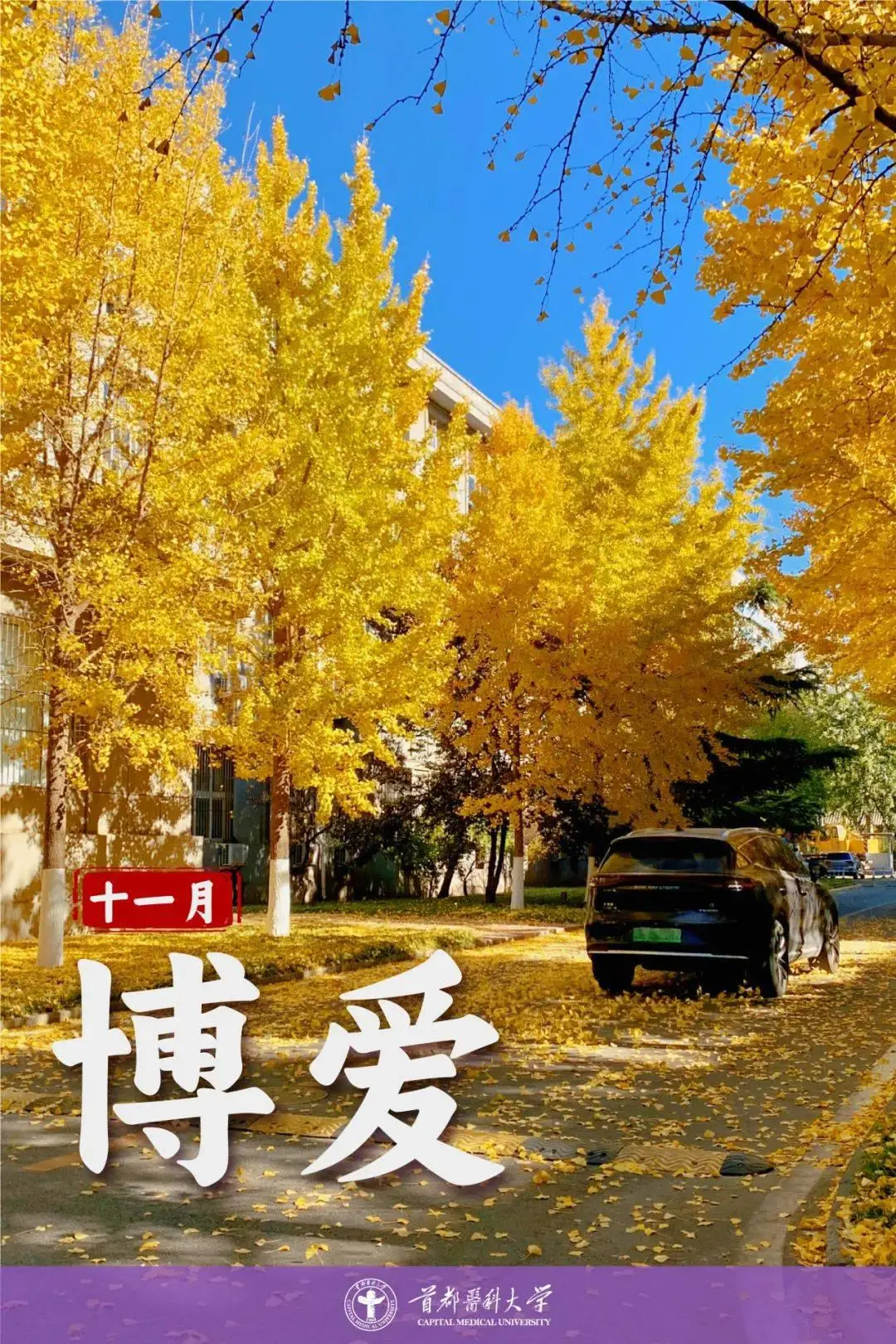 日和月是_月日是啥意思_3月5日是什么日子