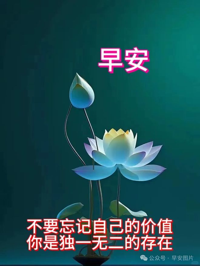 椿姐_椿姐_椿姐