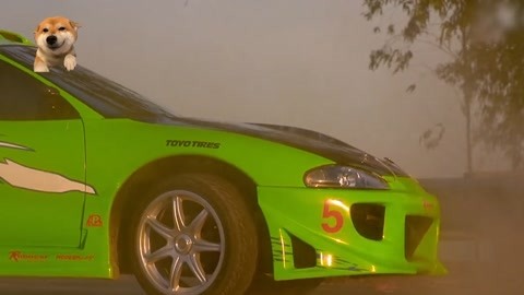 速度与激情10免费观看国语_速度与激情10免费观看国语_速度与激情10免费观看国语