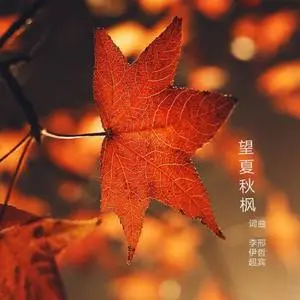 克亚树_克亚树_克亚树