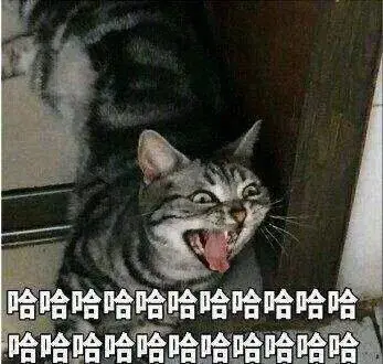 洗脑游戏在线观看_洗脑app游戏_洗脑手机游戏下载