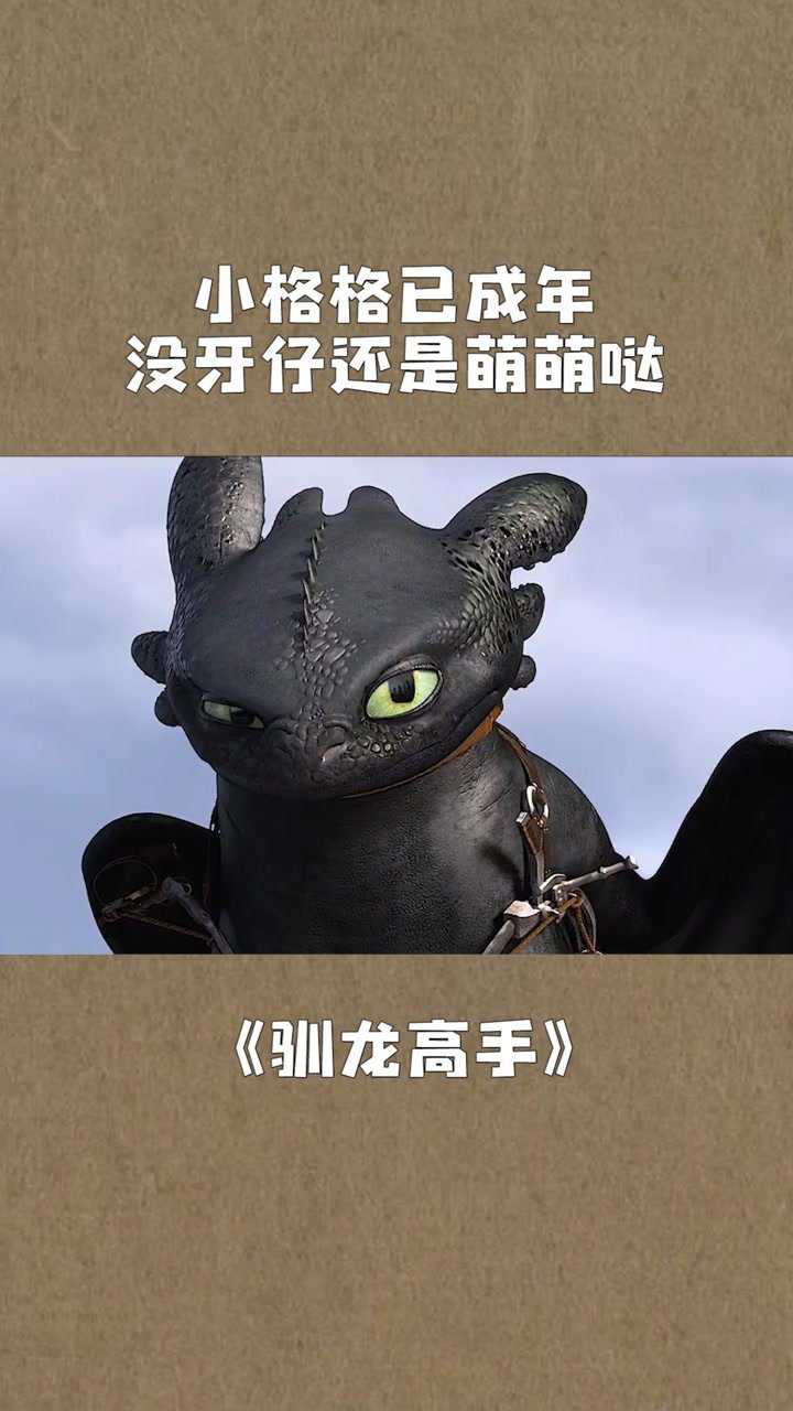 高手驯龙进阶方法教学_驯龙高手3_驯龙高手旅程