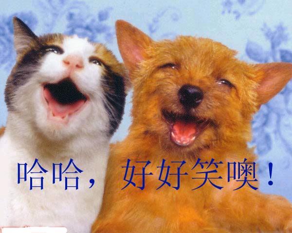小朋友的手机游戏_小孩介绍自己手机游戏_小孩手机游戏有什么好玩的