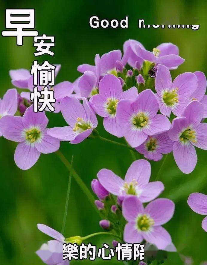 魔八神_八神光_八神吉凶