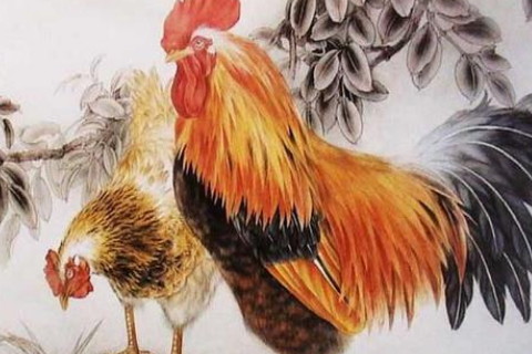 属蛇_属鼠_05属什么