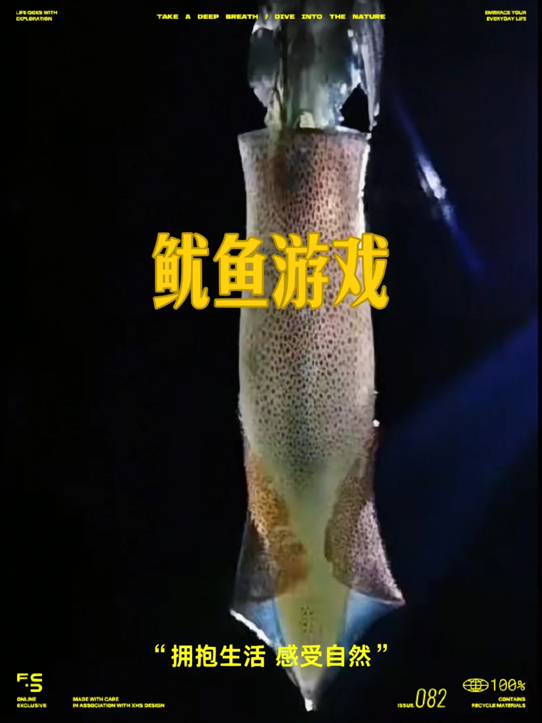 鱿鱼小游戏安卓手机版_鱿鱼游戏apk_鱿鱼游戏小载