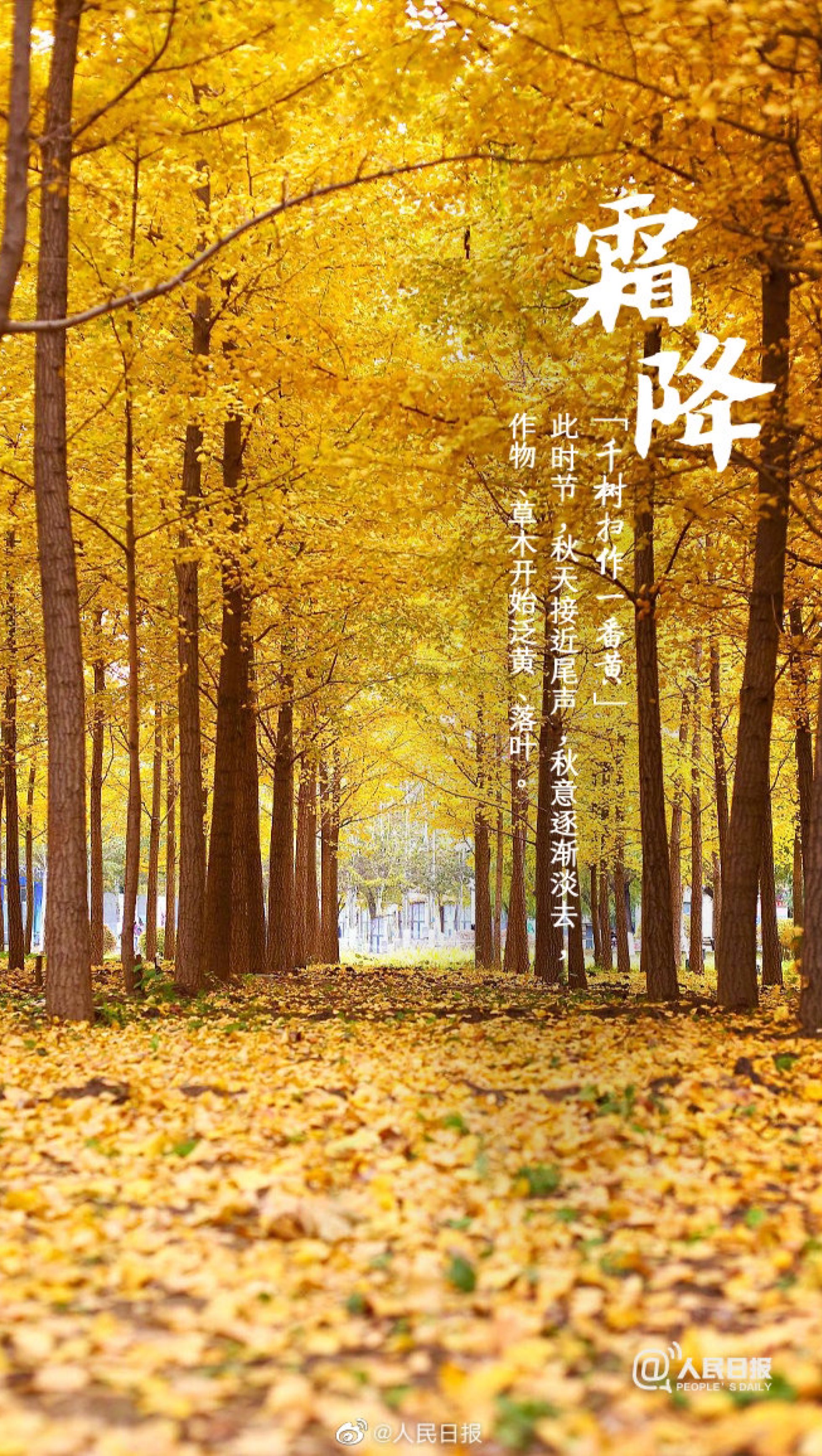 用手机拍摄恐怖短片的游戏_短片恐怖拍摄手机游戏用的什么_录像的恐怖游戏